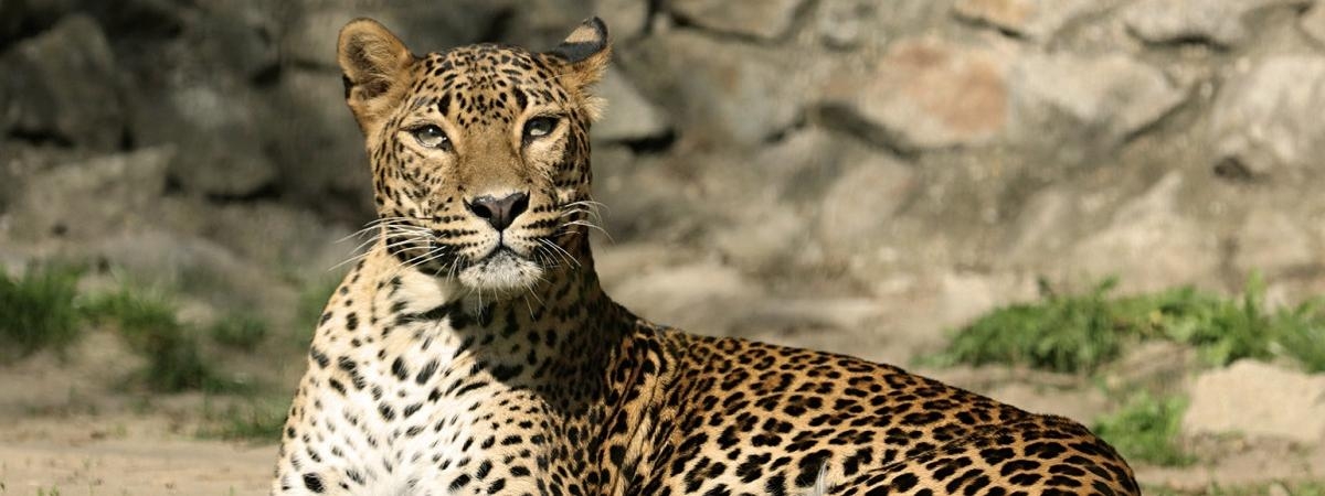 ZOO Bratislava-1-1500-1-1