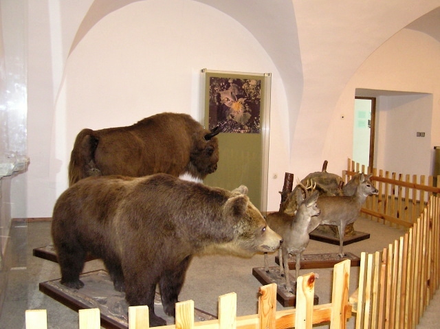 Šarišské múzeum Bardejov - Prírodovedná expozícia