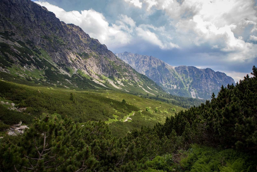 Tatry (pohorie)