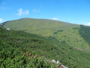 Kráľovohoľské Tatry