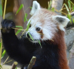 ZOO Košice - Slovensko