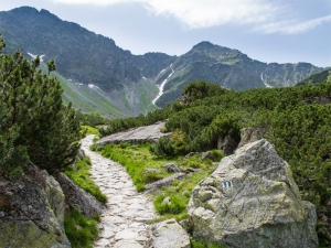 Západné Tatry