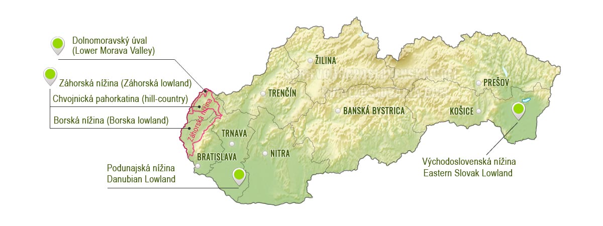 Borská nížina - mapa