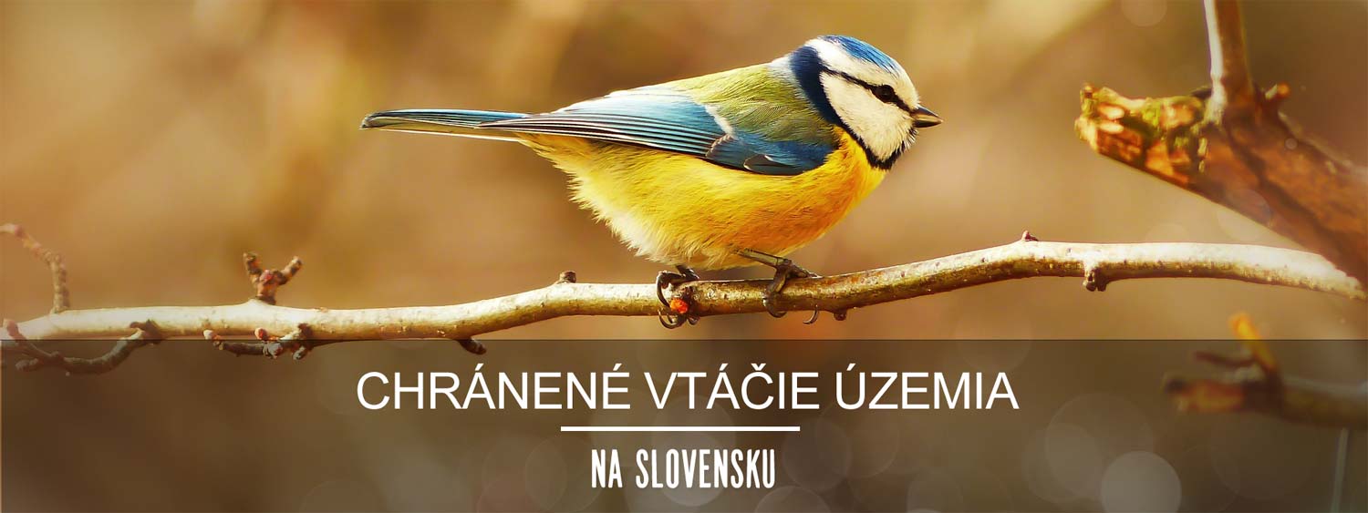 Chránené vtáčie územia (CHVU) na Slovensku